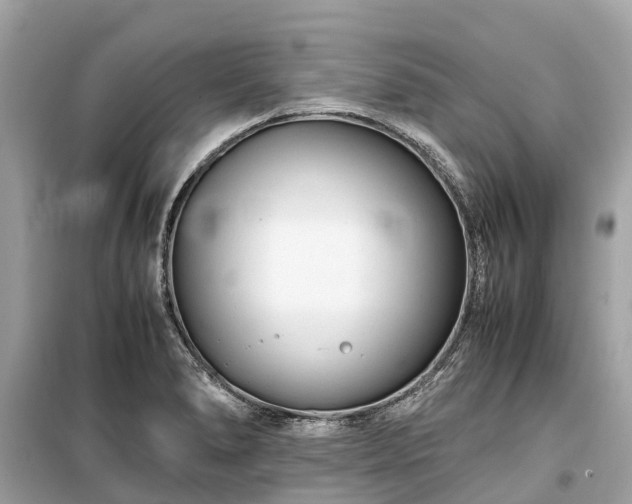 X0000099431278200805161101