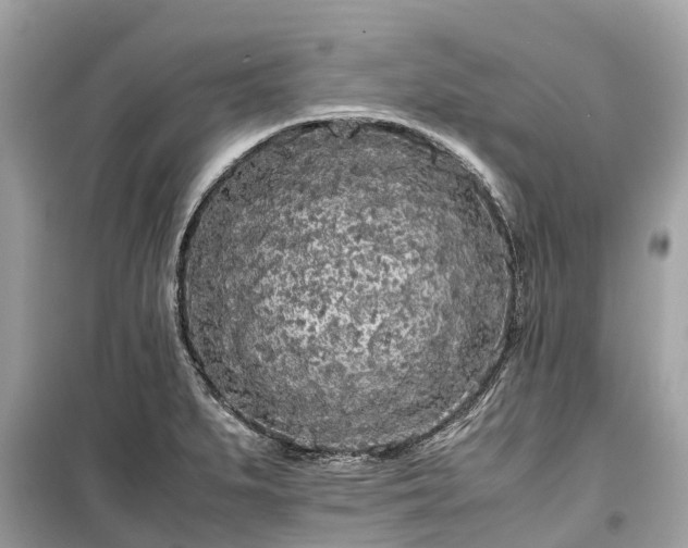X0000099431279200805161101
