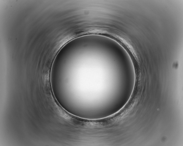 X0000099431281200805161101