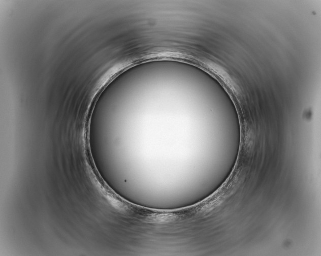 X0000099431282200805161101
