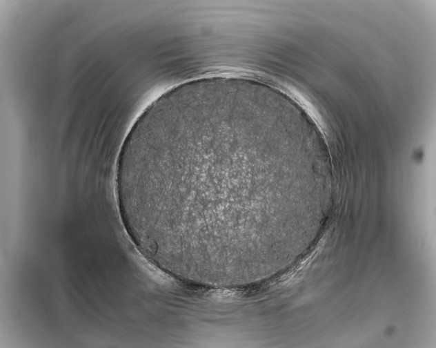 X0000099431283200805161101