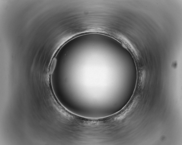 X0000099431284200805161101