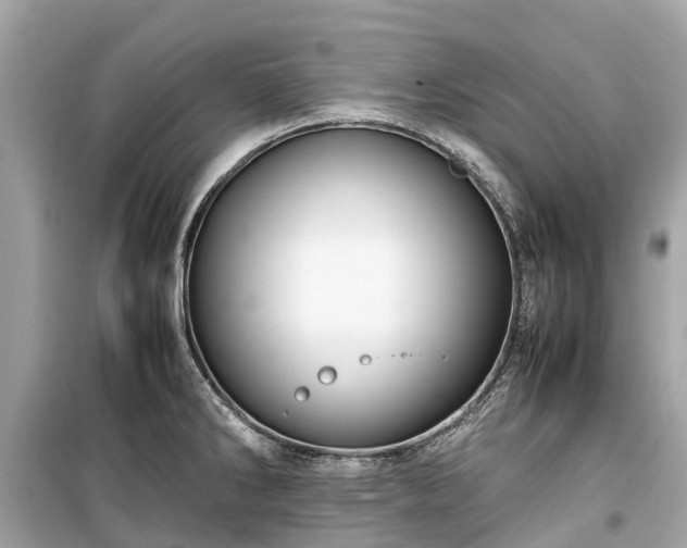 X0000099431286200805161101