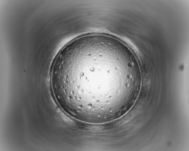 X0000099431287200805161101