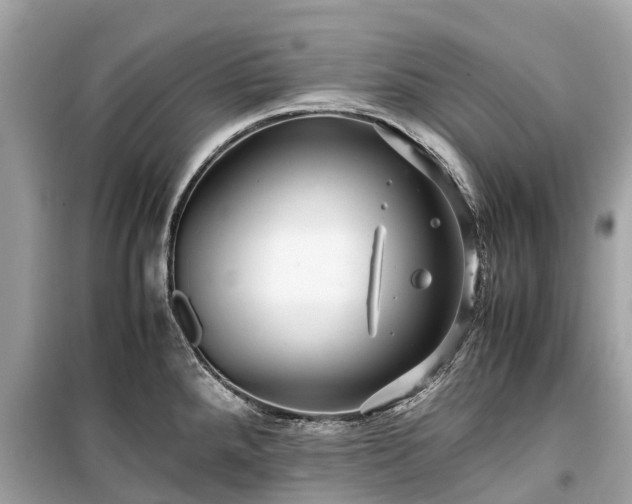 X0000099431288200805161101