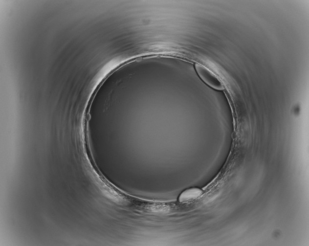 X0000099431291200805161101