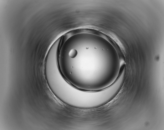 X0000099431292200805161101