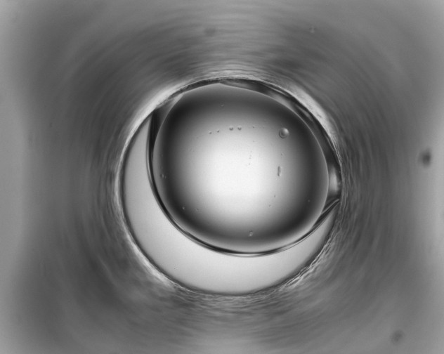 X0000099431293200805161101