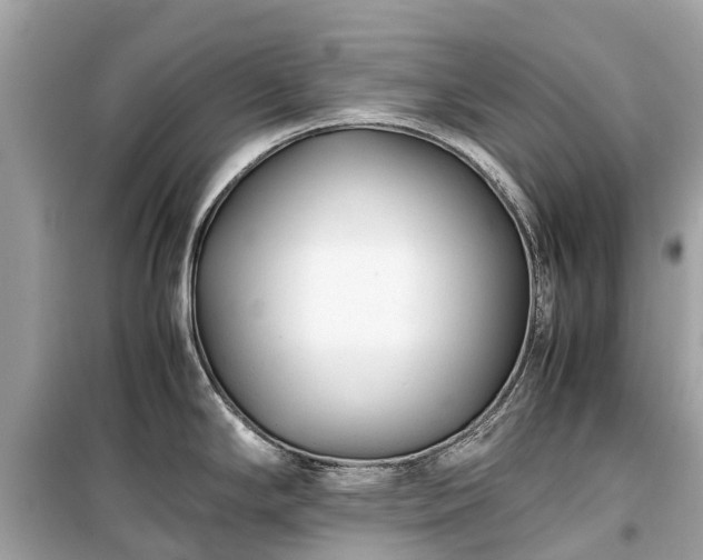 X0000099431294200805161101