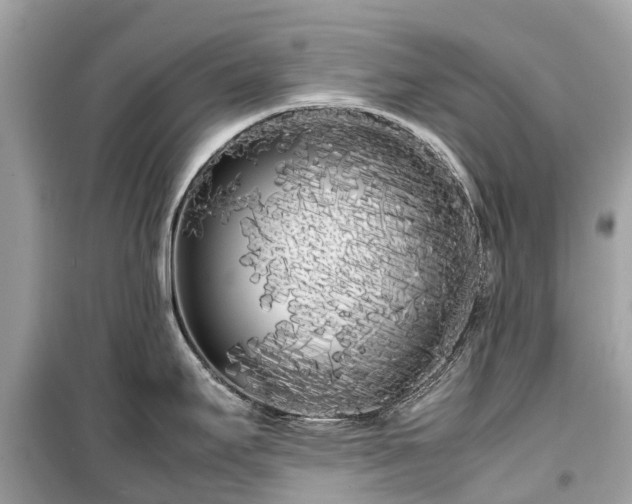 X0000099431295200805161101