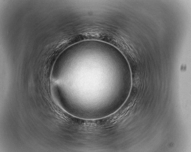 X0000099431297200805161100