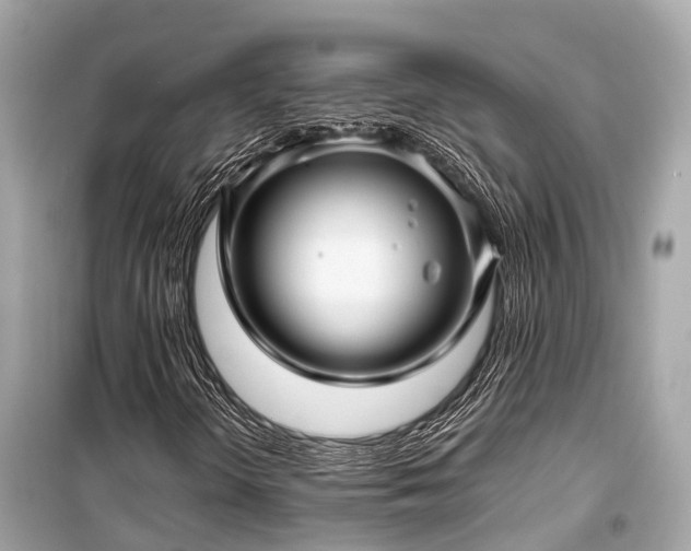 X0000099431298200805161100