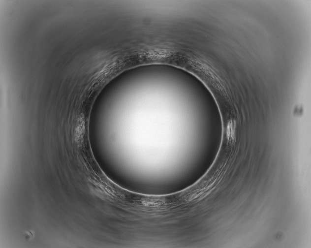 X0000099431299200805161100