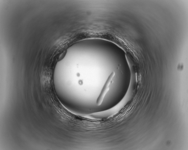 X0000099431300200805161100