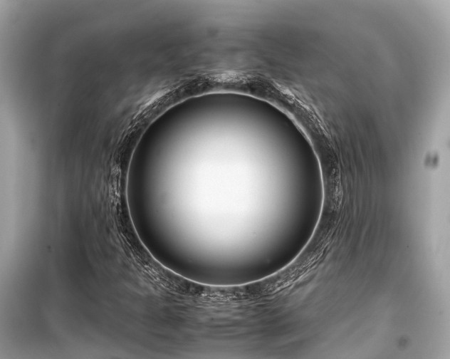 X0000099431301200805161100