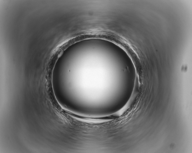 X0000099431304200805161100