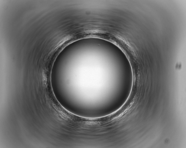 X0000099431305200805161100