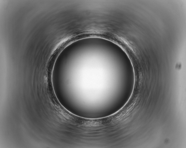 X0000099431307200805161100