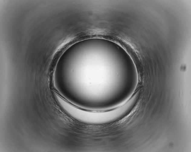 X0000099431309200805161100