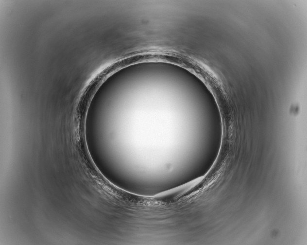 X0000099431310200805161100