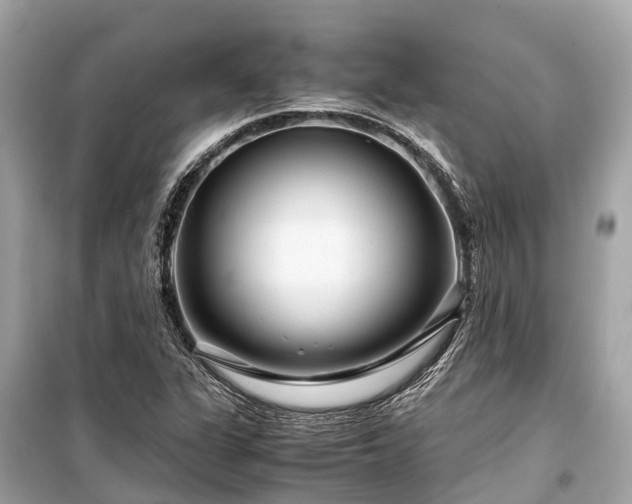 X0000099431311200805161100