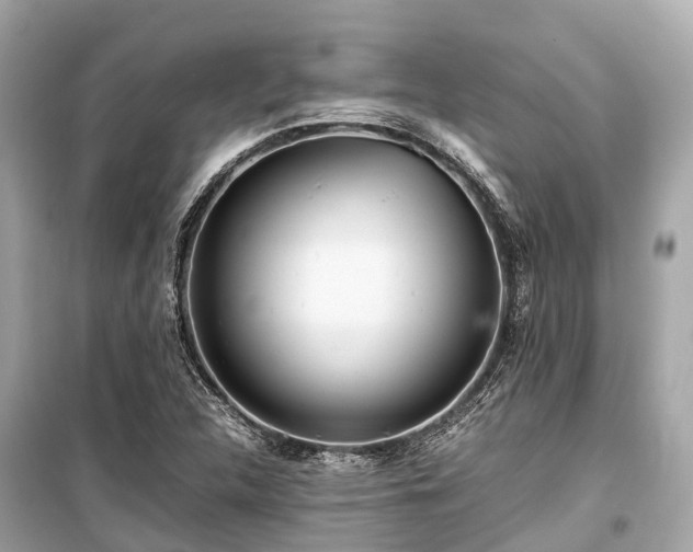 X0000099431312200805161100