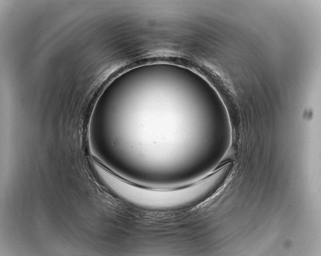 X0000099431313200805161101