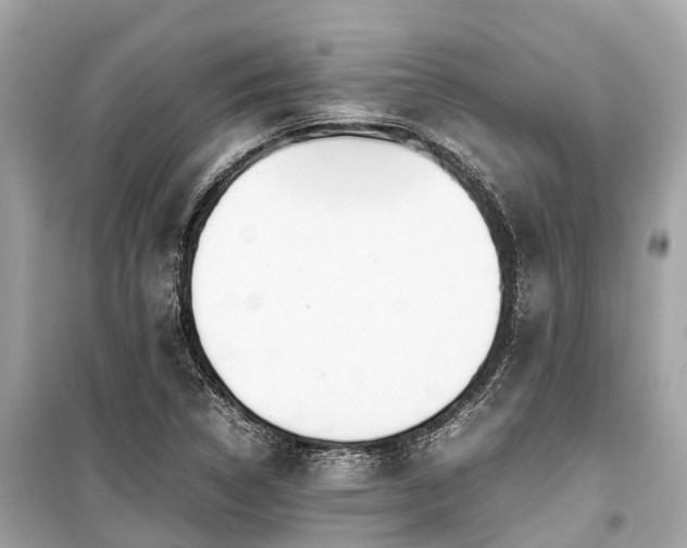 X0000099431314200805161101