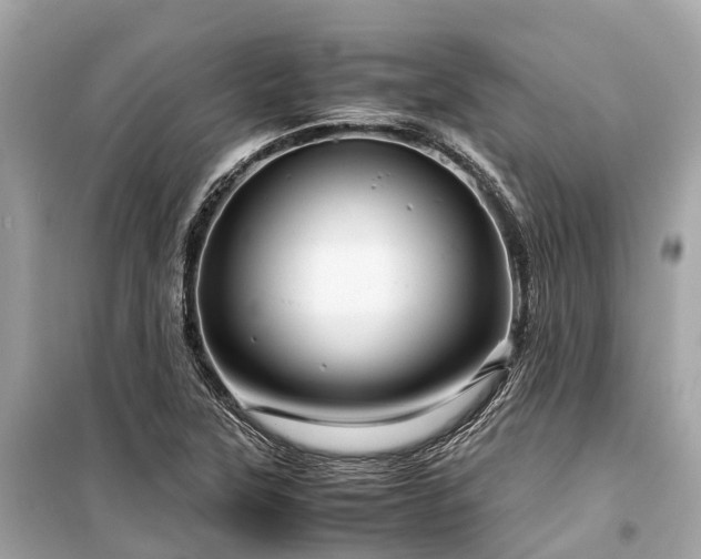 X0000099431315200805161101