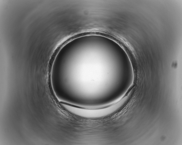 X0000099431316200805161101