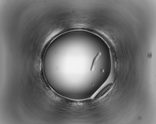 X0000099431317200805161101