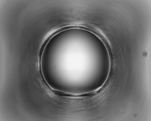 X0000099431320200805161101