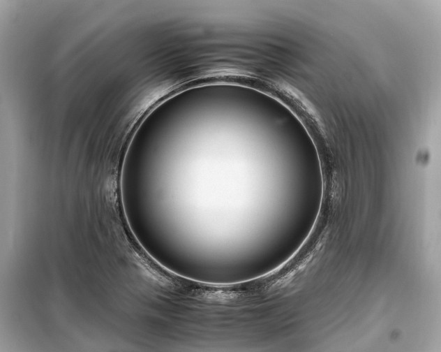 X0000099431321200805161101