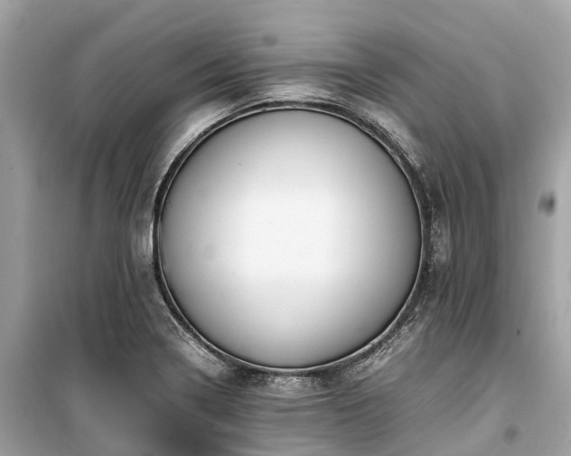 X0000099431322200805161101