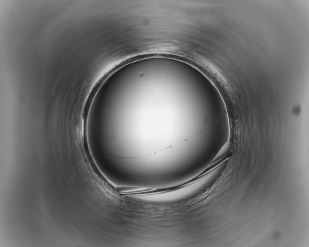 X0000099431324200805161101