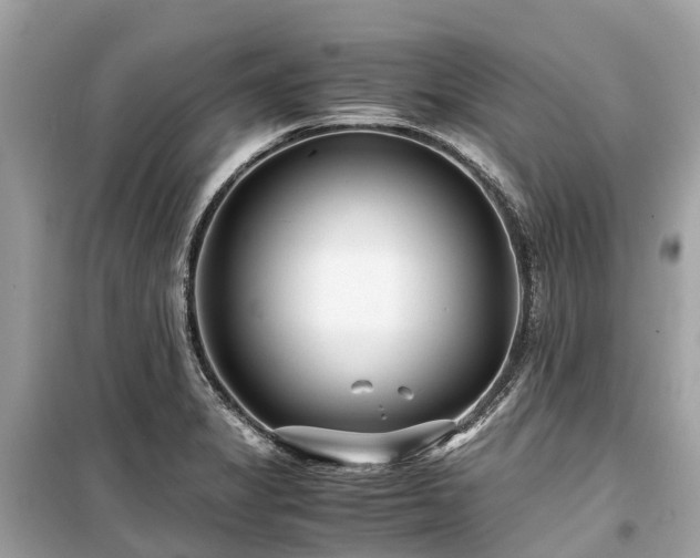 X0000099431325200805161101