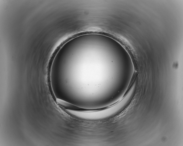 X0000099431326200805161101