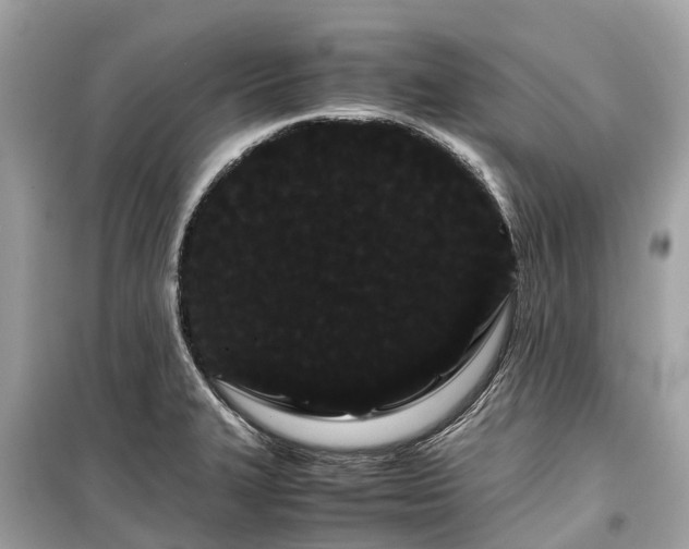 X0000099431327200805161101