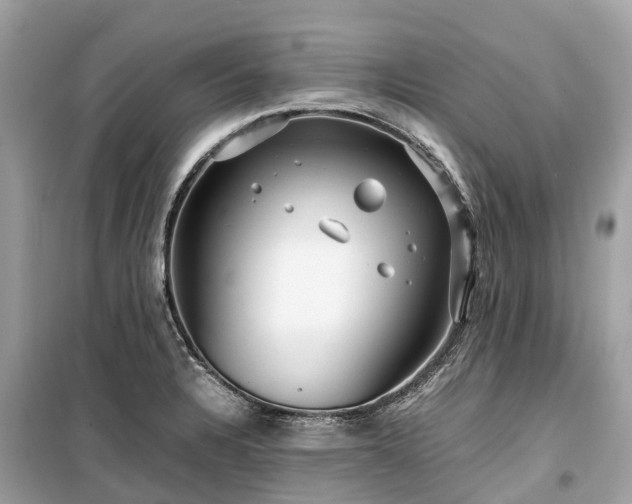 X0000099431328200805161101