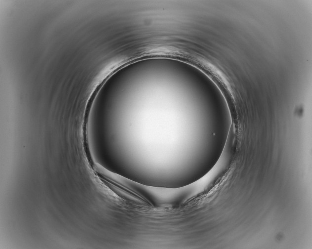 X0000099431330200805161101