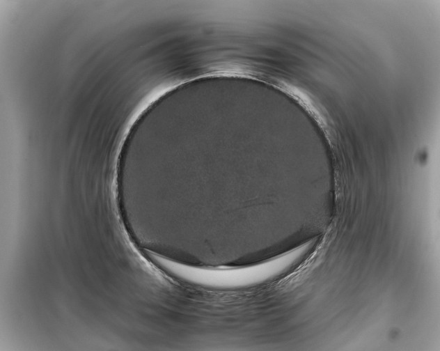 X0000099431331200805161101