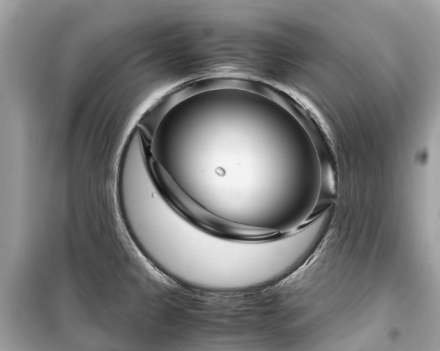 X0000099431333200805161101