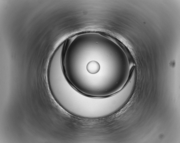 X0000099431334200805161101