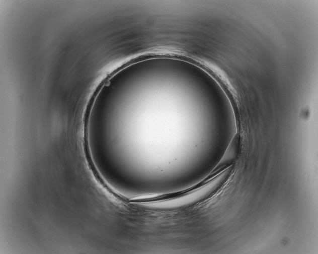 X0000099431335200805161101