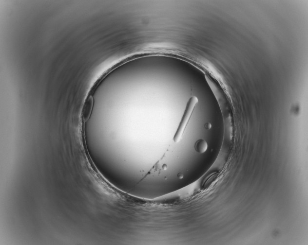 X0000099431336200805161101