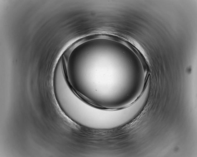 X0000099431339200805161101