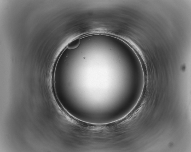 X0000099431341200805161101