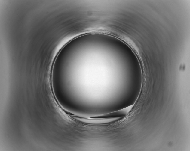 X0000099431344200805161101
