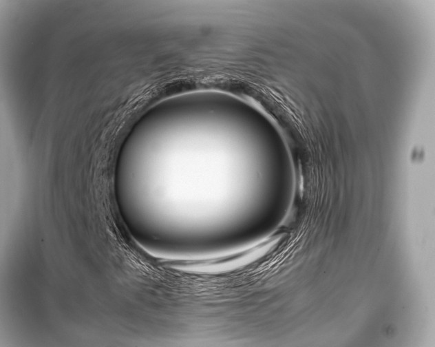 X0000099431345200805161100