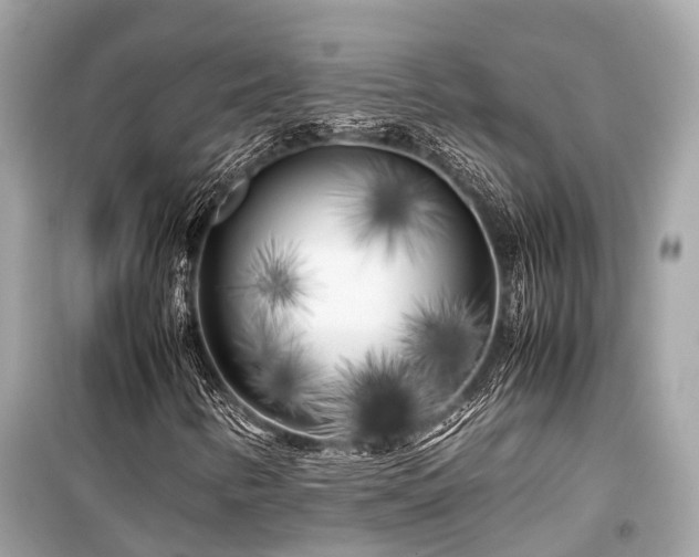 X0000099431346200805161100
